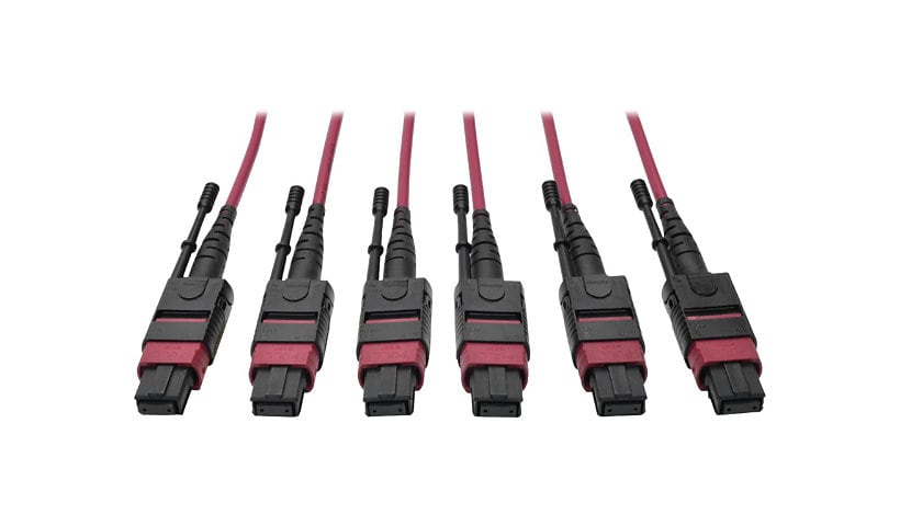 Tripp Lite 24-Fiber MTP MPO OM4 Base-8 MMF Trunk Cable  40/100GbE 3X, 61M