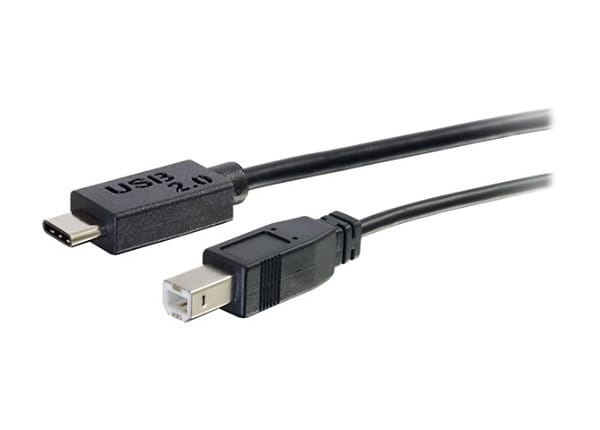 6Ft USB Type C Male to Type C Male Cable 