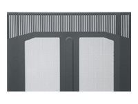 Middle Atlantic BVFD 41 - rack door - 41U