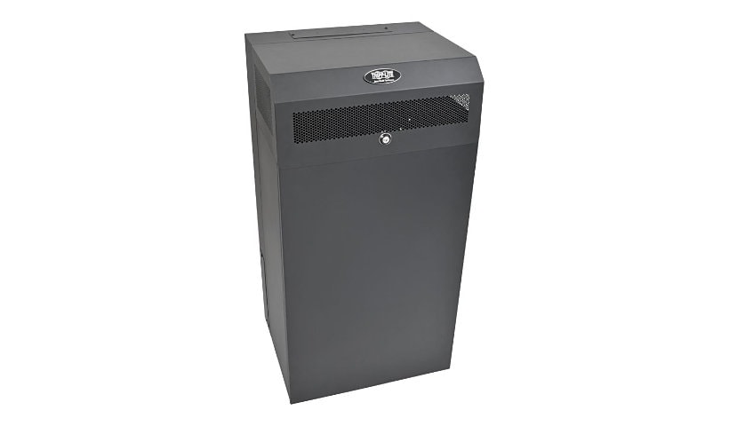 Tripp Lite 12U Wallmount Rack Enclosure Server Cabinet Low Profile Vertical