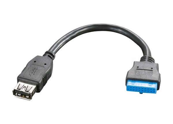 Lenovo USB internal to external cable - 7.7 in