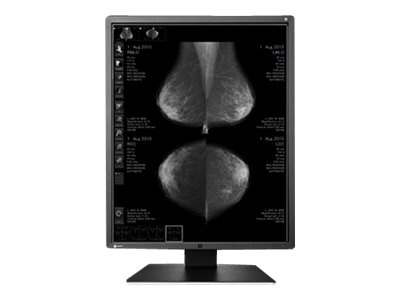 EIZO RadiForce GX550-DH-NM200 - LED monitor - 5MP - grayscale - 21.3" - with NVIDIA Quadro M2000 graphics adapter