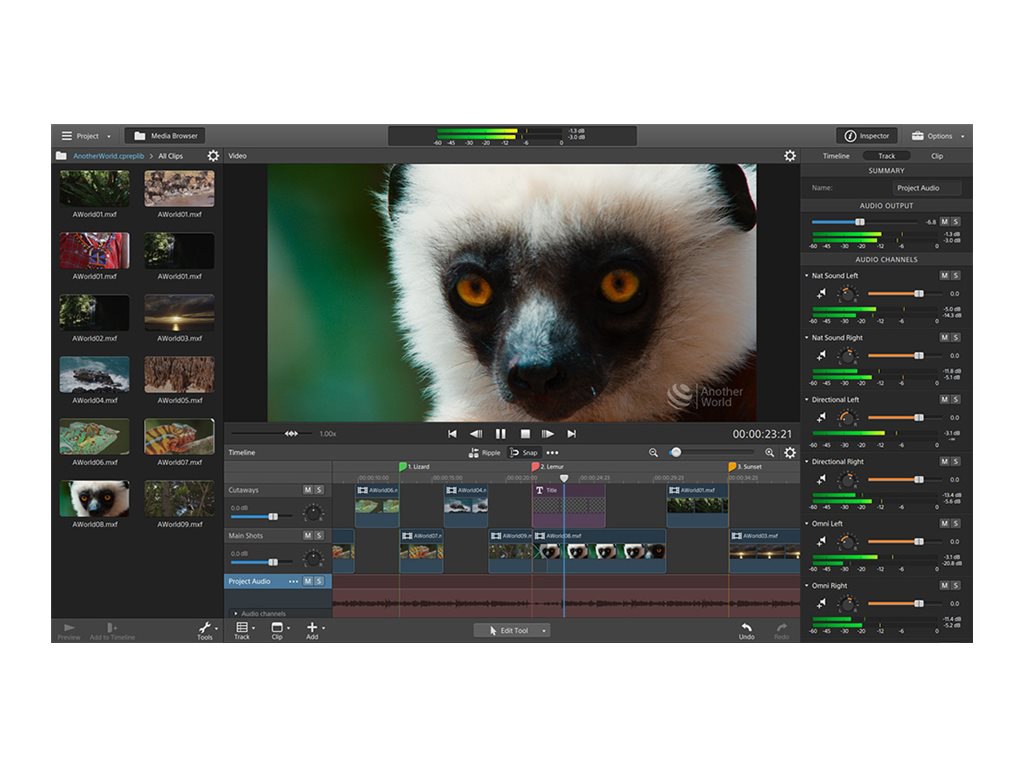 Catalyst Production Suite - license - 1 license