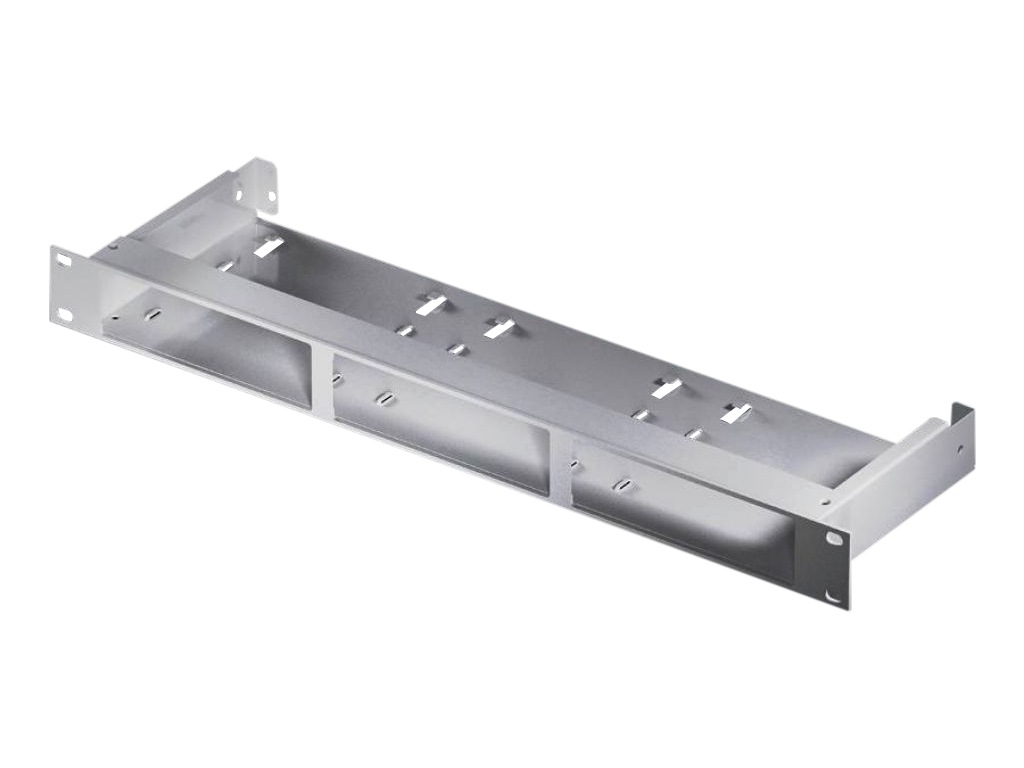 Rittal DK CMC III mounting unit - rack mounting kit - 1U - 19"