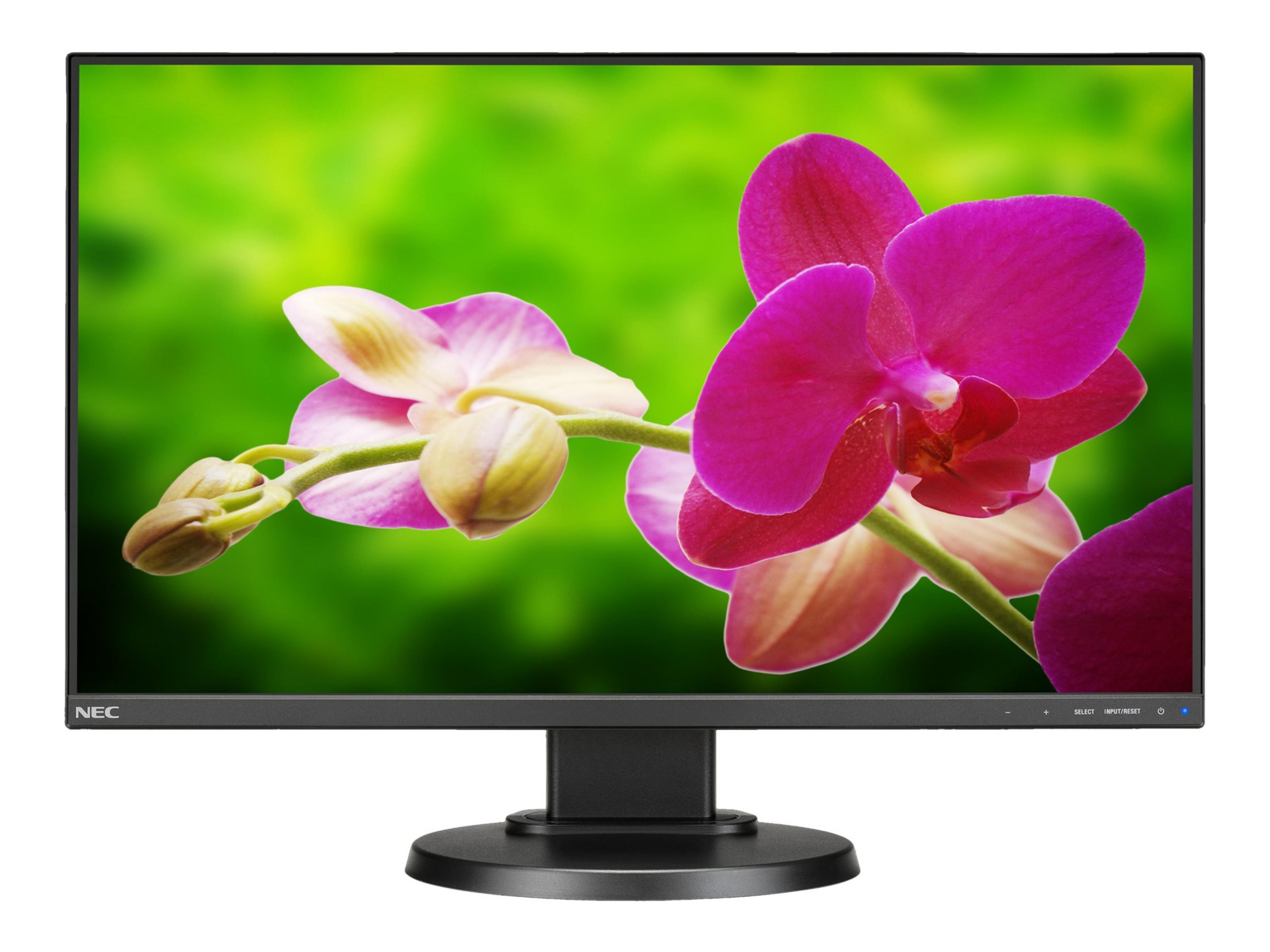 NEC MultiSync E241N-BK - LED monitor - Full HD (1080p) - 24"