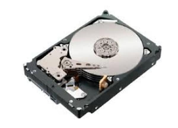 Lenovo Gen5 Enterprise - hard drive - 4 TB - SAS 12Gb/s