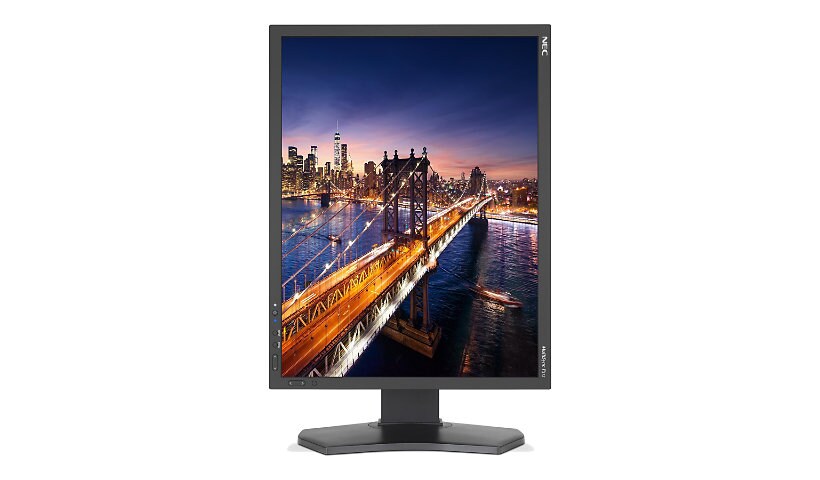 NEC MultiSync P212 - LED monitor - 21.3"