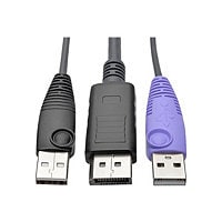 Tripp Lite DisplayPort USB Server Interface w/Virtual Media & CAC B064 KVMs TAA - KVM / USB extender - TAA Compliant