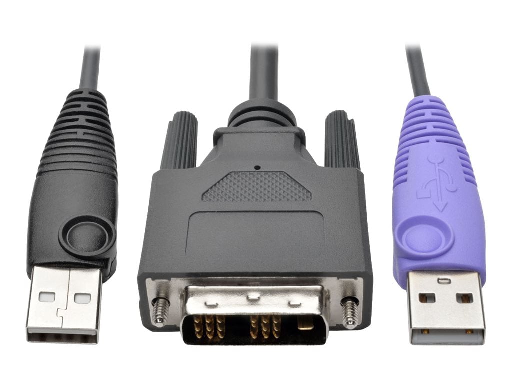 Eaton Tripp Lite Series DVI USB Server Interface w/ Virtual Media & CAC for B064 KVMs TAA - KVM / USB extender - TAA