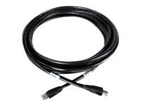 Belden DataTuff 7957A - network cable - 10 ft - black