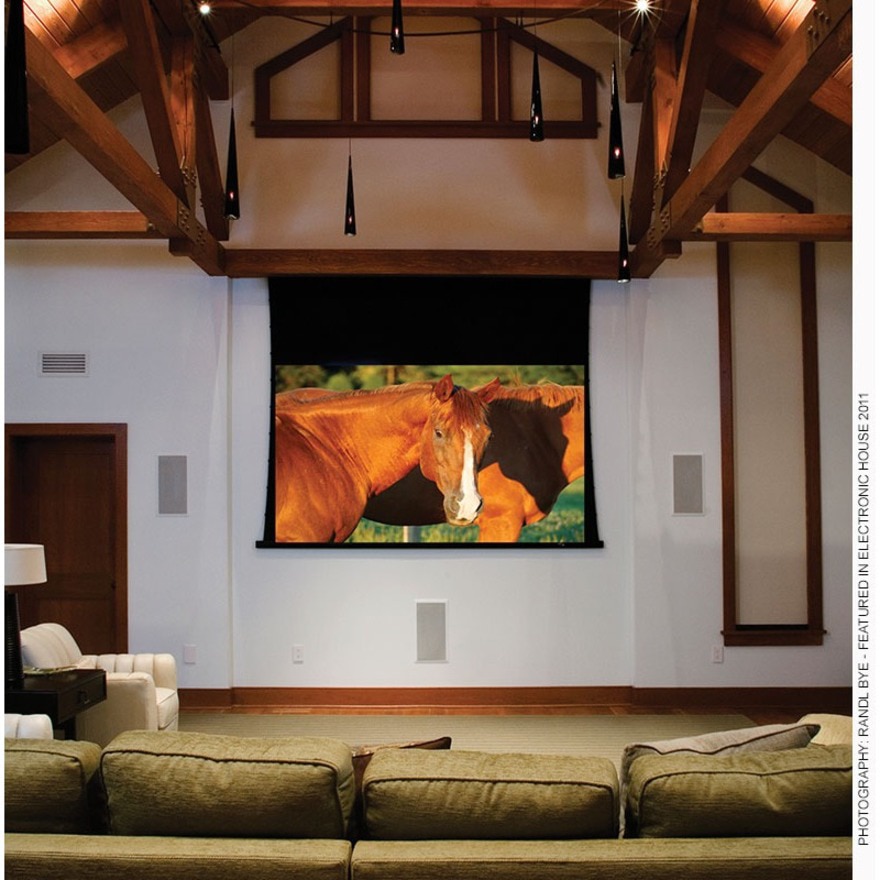 Draper Access V 137" Projection Screen