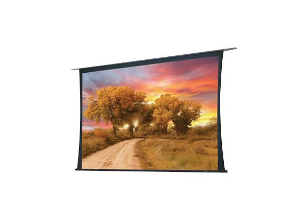 Draper Access/Series V Electric 16:10 Format - projection screen - 137 in (135.8 in)