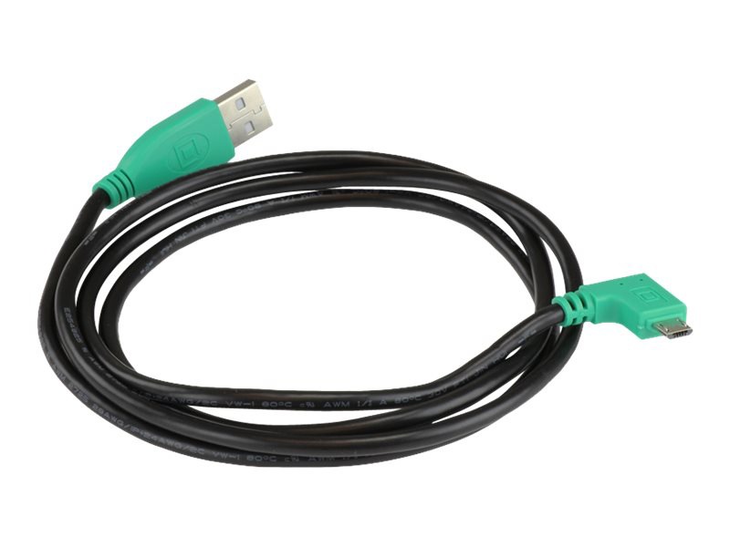 Ram GDS USB cable - 4 ft