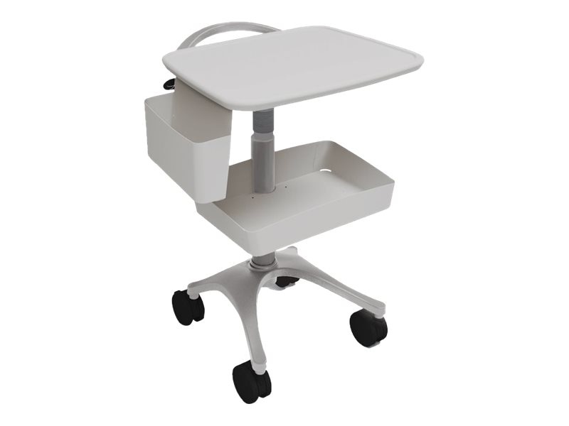 Ergotron Zido EKG Cart Package cart - cool gray - TAA Compliant