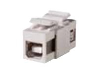 Ortronics TechChoice modular insert