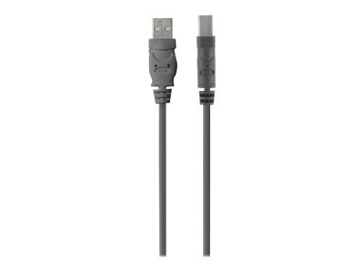 Belkin USB-A to USB Type B Printer Cable - M/M - 4.8m - Device Extension Cable