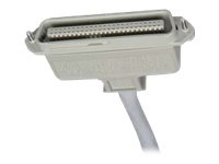 Allen Tel network cable - 5 ft - gray