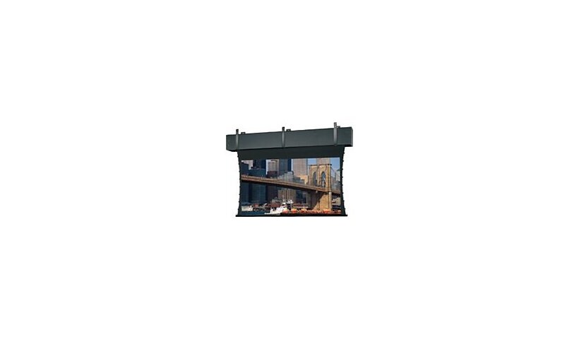 Da-Lite Tensioned Professional Electrol projection screen - 298" (757 cm)