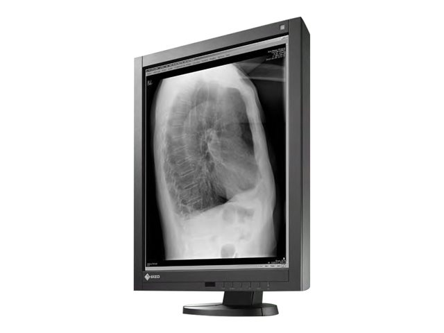 EIZO RadiForce GX240 Single Head - LED monitor - 2MP - grayscale - 21.3" -