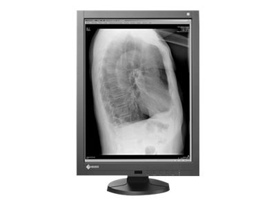 EIZO RadiForce GX240 Dual Head - LED monitor - 2MP - grayscale - 21.3" - wi