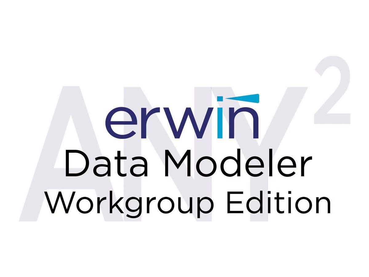 ERWIN R9.7 DATA MDLR WG CC L+M 1Y