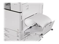 Ricoh Type M19 - media feeder guide assembly