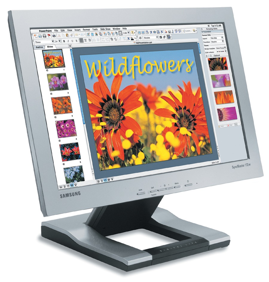 Samsung SyncMaster 172W