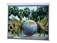 Da-Lite Model C with CSR - projection screen - 110" (109.8 in)