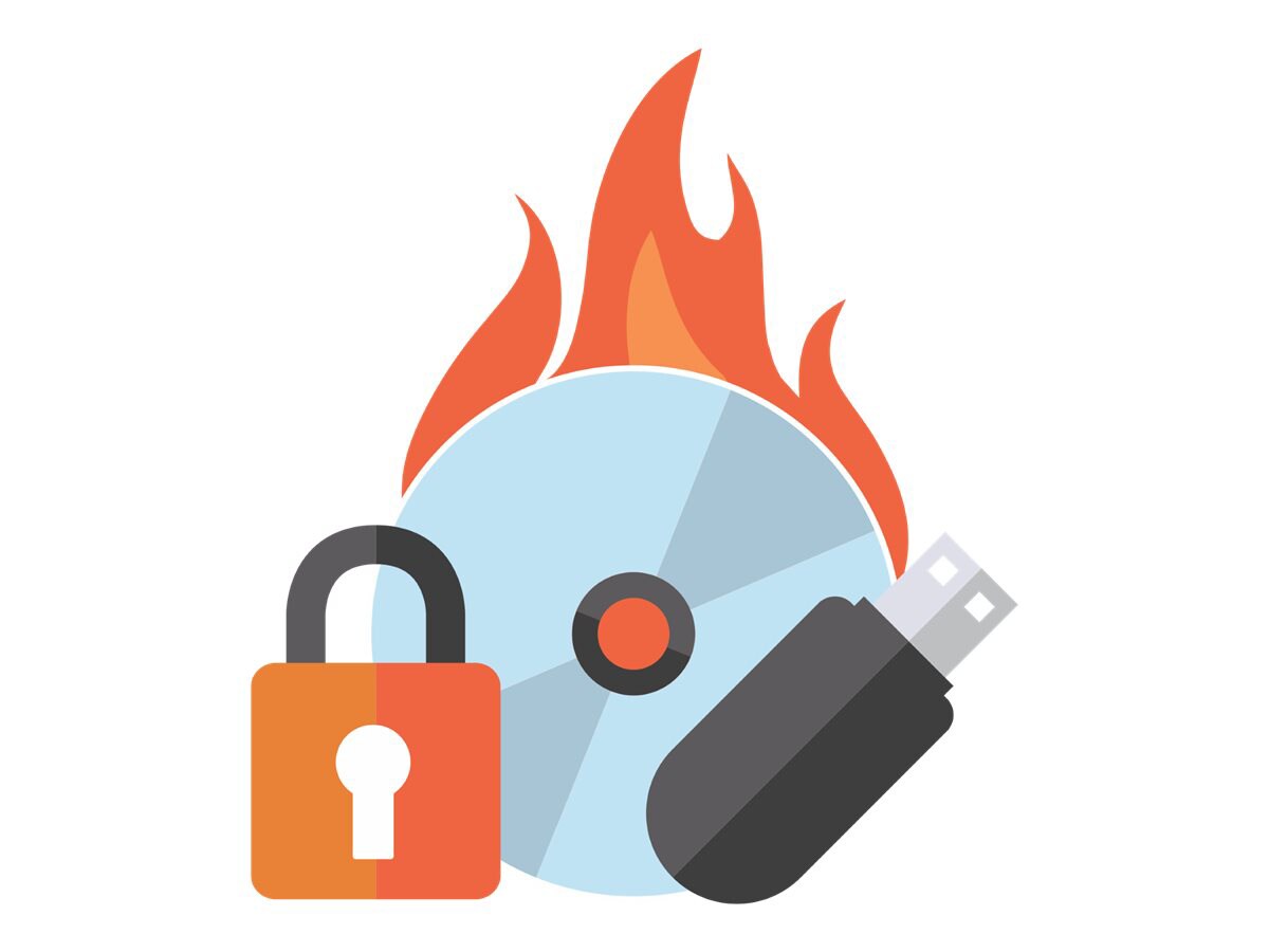 Roxio Secure Burn Enterprise (v. 4) - license - 1 user