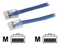 Black Box CAT6 Solid-Conductor Backbone Cable network cable - 2 ft - blue