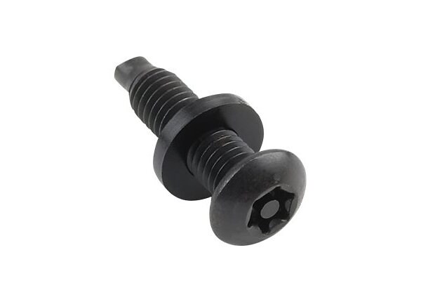 Chief PNTX - rack security screw