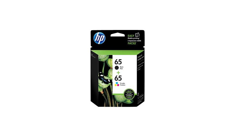 HP 65 - 2-pack - color (cyan, magenta, yellow), pigmented black - original