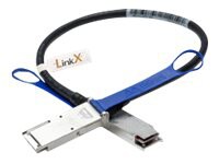 Mellanox LinkX Passive Copper Hybrid ETH - InfiniBand cable - 5 ft - black