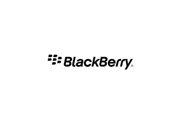 BlackBerry Technical Support Services Advantage Support - technical support