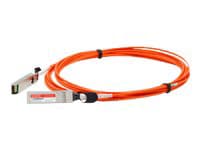 Proline 10GBase-AOC direct attach cable - 33 ft