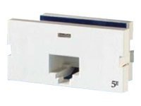 Ortronics Clarity 5E Series II - modular insert