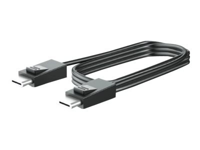 HP 300cm DP Cable for L7014