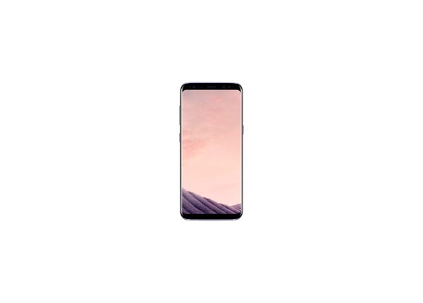 Samsung Galaxy S8 64GB Orchid - Gray