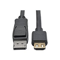 Eaton Tripp Lite Series DisplayPort 1.2 to HDMI Active Adapter Cable (M/M), 4K 60 Hz, Gripping HDMI Plug, HDCP 2.2, 20