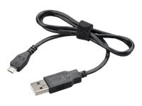 Poly USB cable - 91.4 cm