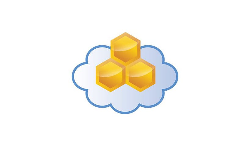 Aerohive HiveManager Classic Online - subscription license (1 year) + 1 Year Select Support - 1 device