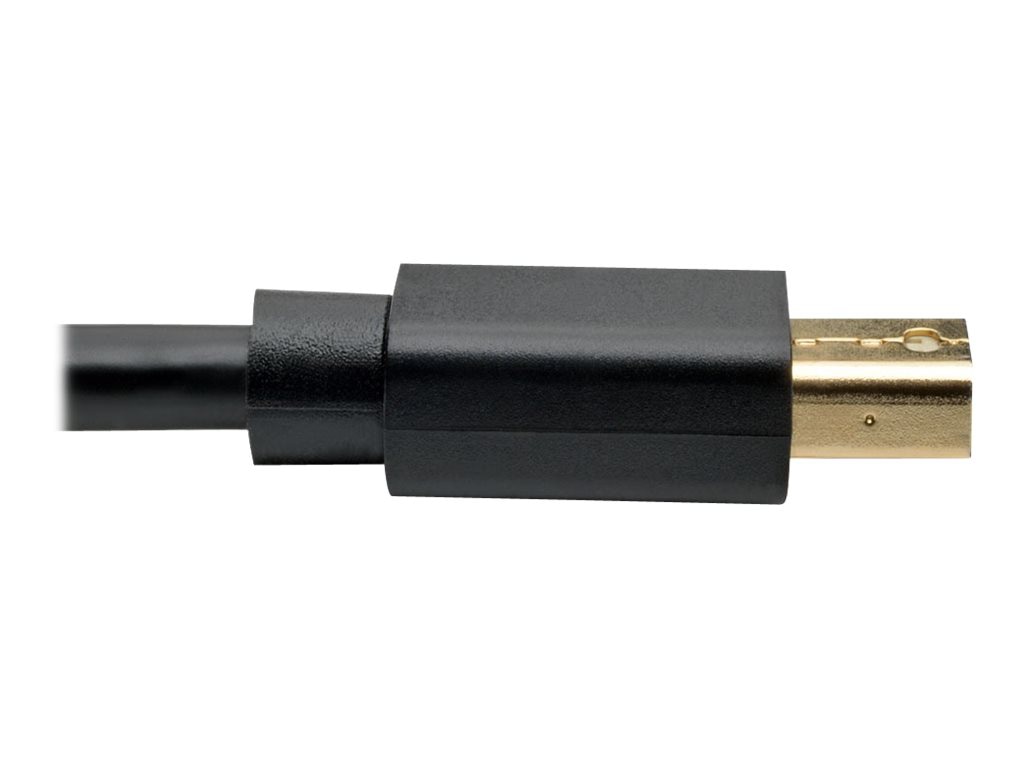 Thumbnail 4 of 10 for Eaton Tripp Lite Series Mini DisplayPort to DisplayPort Adapter Cable 4K 60 Hz M/M DP Latching Connector Black 6ft 1.8 m