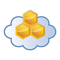 Aerohive HiveManager Classic Online - license - 1 device