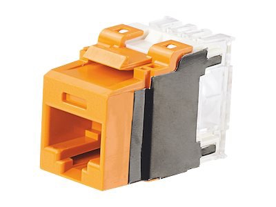 Panduit NetKey Category 6A Punchdown Jack Module - modular insert