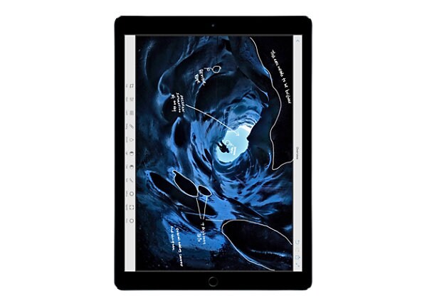 Apple 12.9-inch iPad Pro Wi-Fi - 2nd generation - tablette - 256 Go - 12.9"