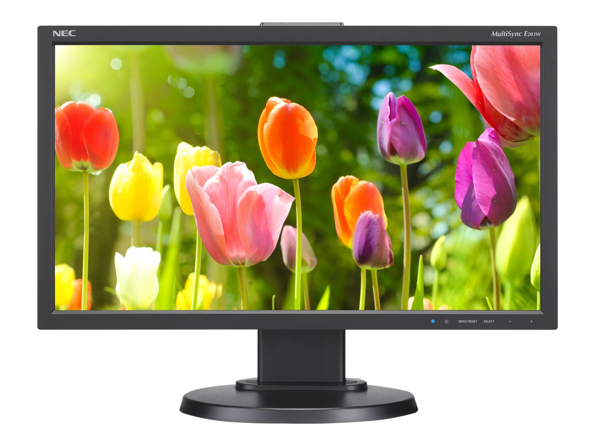 NEC MultiSync E203W-BK - E Series - LED monitor - 20"