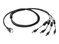 Zebra - power cable