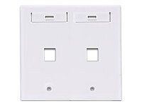 Leviton QuickPort Dual-Gang - mounting plate