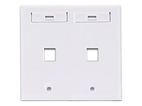 Leviton QuickPort Dual-Gang - mounting plate