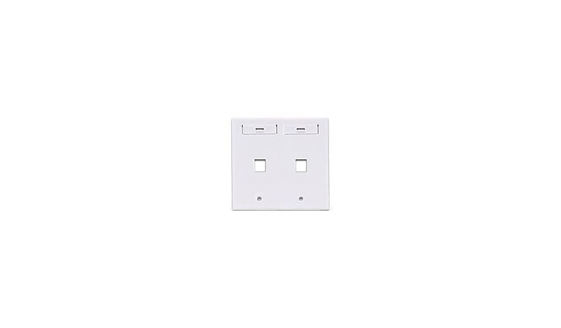 Leviton QuickPort Dual-Gang - mounting plate